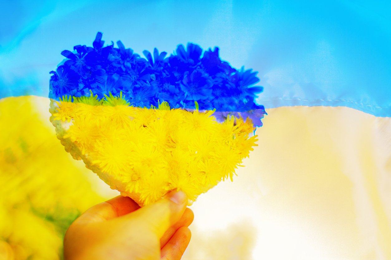united for ukraine